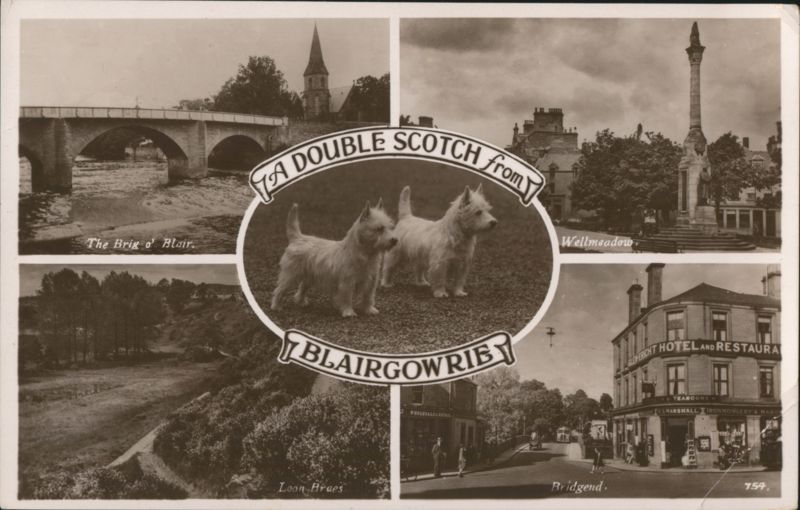 A Double Scotch from Blairgowrie: Westies & Local Views Scotland