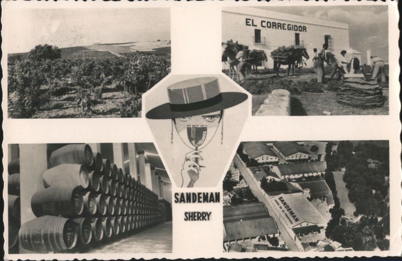 Sandeman Sherry Winery, El Corregidor, Jerez Jerez de la Frontera Spain