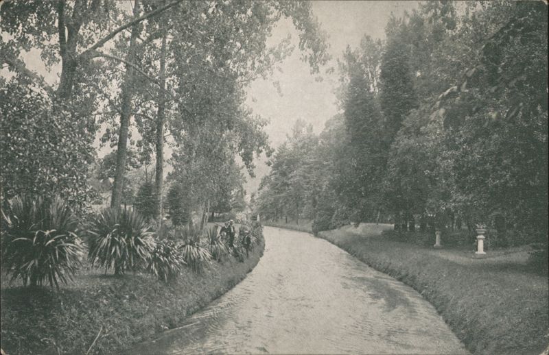 Garden at Furnas, St. Michael's Portugal