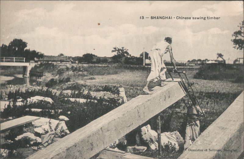 Chinese Sawing Timber in Shanghai China
