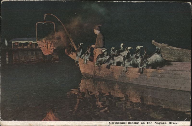 Cormorant Fishing on Nagara River Japan