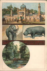 Zoological Garden Hannover, Elephant, Hippo, Park Postcard