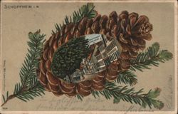 Schopfheim Hauptstrasse Lindenplatz Pine Cone Postcard