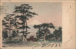Mount Fuji with Pine Trees and Fields Postcard
