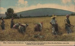 India Primitive Harvesting Methods Reaping Hook Laborers Postcard