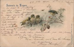 Souvenir de Piepore, Birds on Branch Postcard