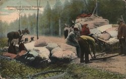 German Fugitives Fleeing Before Russians Postcard