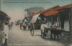 Chitré Transport of Native Products to Port Postcard