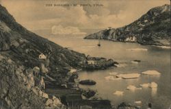 The Narrows, St. John's, Newfoundland Postcard