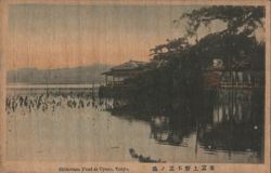 Shinobazu Pond, Ueno, Tokyo Postcard
