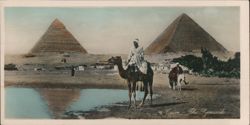 Cairo The Pyramids with Camel Rider Postcard
