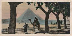 The Pyramids Postcard