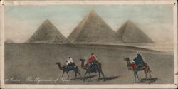 The Pyramids of Gizeh, Cairo with Camel Riders Postcard