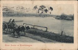 River Scene with Bullock Cart, Kualakangsa Postcard