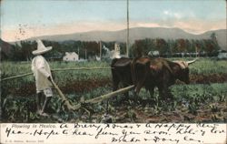 Plowing in Mexico Postcard