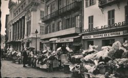 Nice Flower Market, L'Opéra Street Scene Postcard