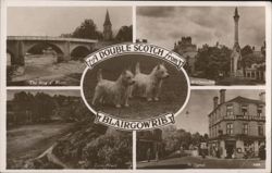 A Double Scotch from Blairgowrie: Westies & Local Views Postcard