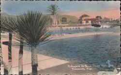 Balneario de Garcí Crespo, Tehuacán Postcard