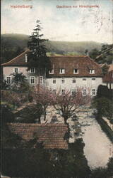 Heidelberg Gasthaus zur Hirschgasse Postcard