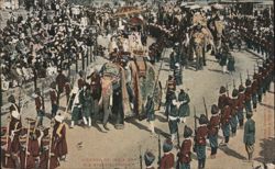 Viceroy of India on His State Elephant Postcard