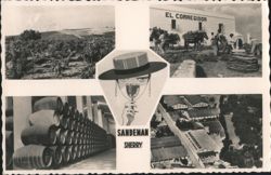Sandeman Sherry Winery, El Corregidor, Jerez Postcard