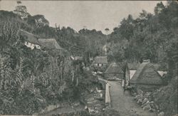 Going up to the mountains of Sete Cidades, St. Michael's Postcard