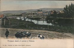 Traiguen from the Road to Victoria Postcard