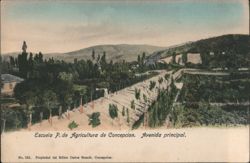 Concepcion Agricultural School, Main Avenue Postcard
