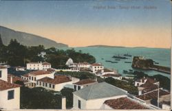Funchal from Savoy-Hotel, Madeira Postcard