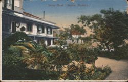 Savoy-Hotel Garden, Madeira Postcard