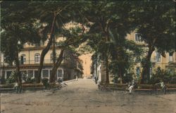 Cathedral Park, Panama City Postcard