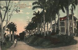 Ancon Hospital Grounds, Panama Postcard