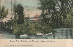 Concepcion School of Agriculture Park Lagoon Postcard