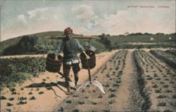 Market Gardener, China Postcard