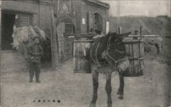 Donkey Carrying Water, Boy & Building Postcard