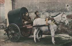Peking Typical Cart Postcard