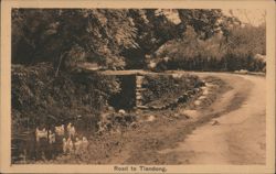 Road to Tiendong with Geese and Stone Wall Postcard