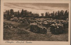 Jessfield Garden, Shanghai Postcard