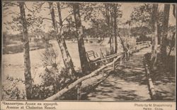 Avenue at Chalantun Resort Postcard
