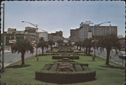 Palafox Street Looking South, Downtown Pensacola Postcard