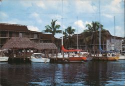 Sailboats at Anchor in a Tropical Marina, Naples Postcard