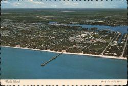 Aerial View of Naples, Florida and the Gulf of Mexico Postcard