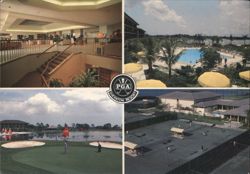 PGA Sheraton Resort Amenities, Palm Beach Gardens, Florida Postcard