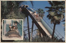 Stanley Falls Flume Ride, Busch Gardens Postcard