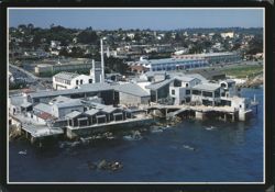 Monterey Bay Aquarium on Cannery Row Postcard