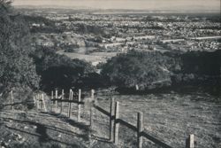 University of California, Santa Cruz Campus View Postcard