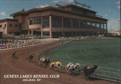 Greyhound Racing at the Geneva Lakes Kennel Club Postcard