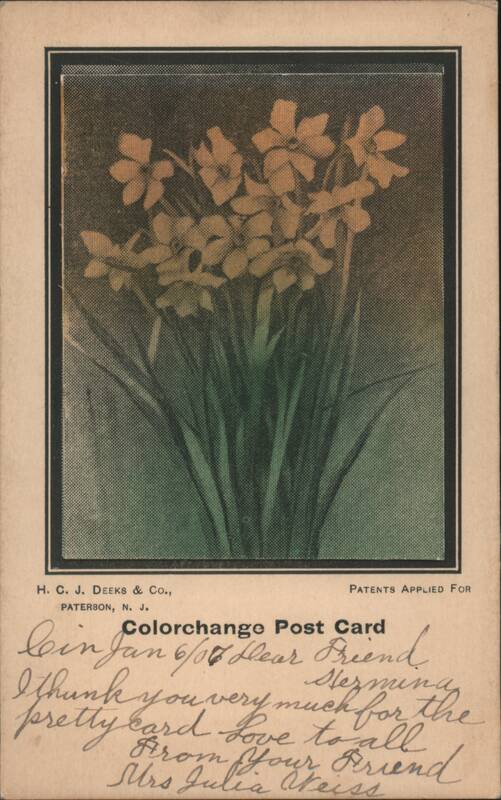 Colorchange Post Card: Bouquet of Flowers