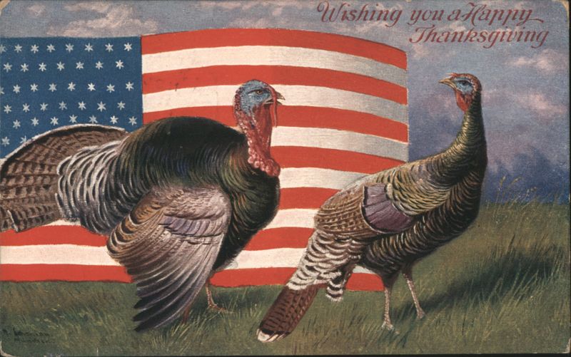 Wishing You a Happy Thanksgiving with Turkeys and American Flag