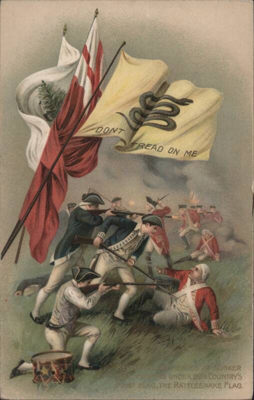 Revolutionary War Battle of Bunker Hill with Gadsden Flag